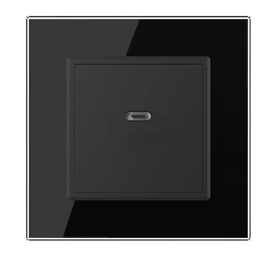 Фото 2 Розетка USB Type-C із Power Delivery 45W чорне скло Livolo