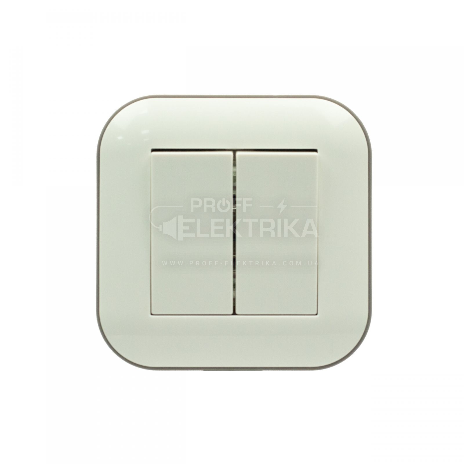 Фото Выключатель двухклавишный Белый серый LOFT