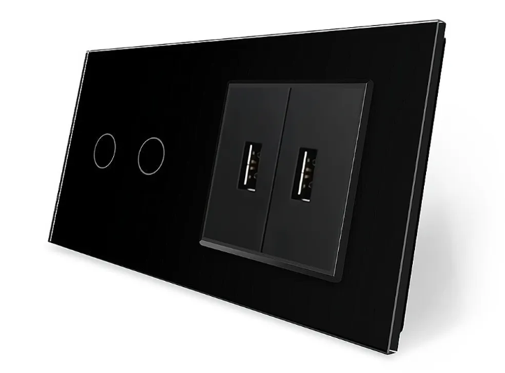 Фото Сенсорний вимикач 2 сенсора 2 USB чорне скло Livolo