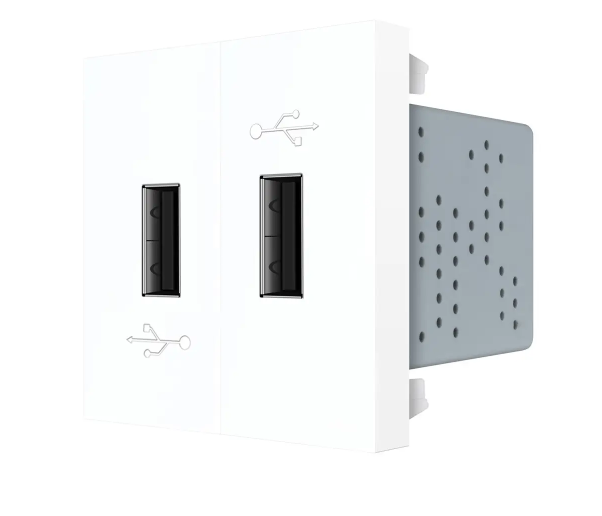 Фото Механізм подвійна розетка USB із блоком живлення білий Livolo