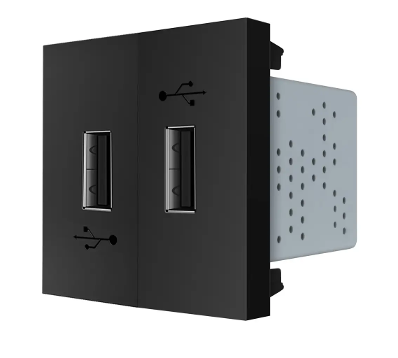 Фото Механізм подвійна розетка USB із блоком живлення чорний Livolo