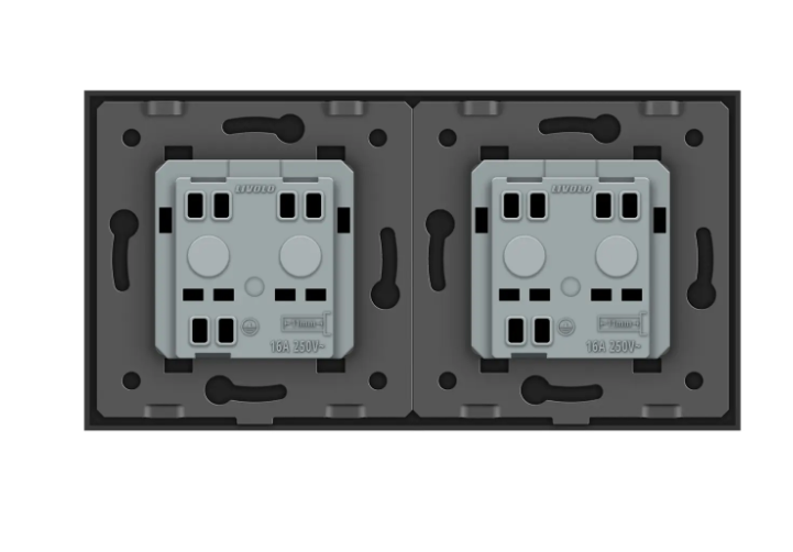 Фото 3 Розетка двойная универсальная черное стекло Livolo