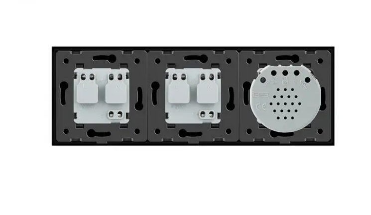 Фото 3 Сенсорний димер 2 сенсори 2 розетки чорне скло Livolo