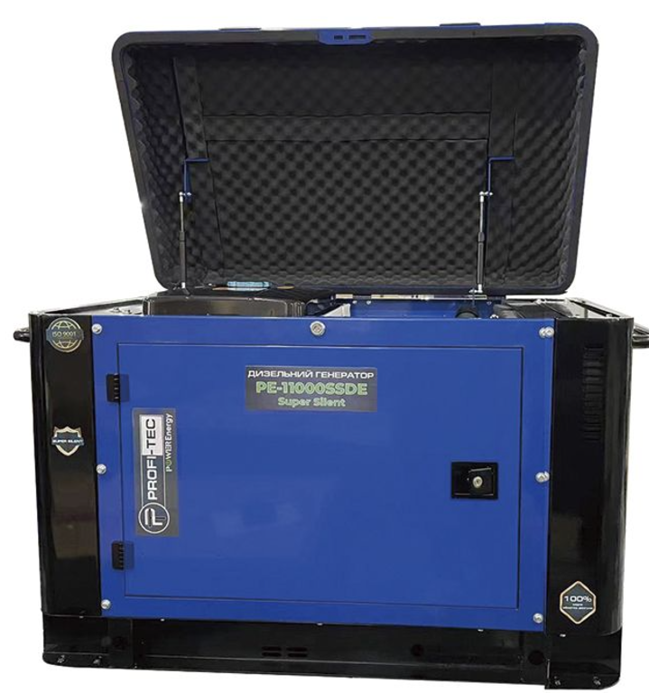 Фото 2 Генератор дизельний PROFI-TEC PE-11000SSDE 12,5 кВа/10,0 кВт 220В двухцилиндровый