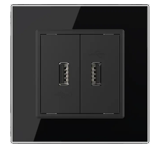 Фото 2 Розетка двойная USB с блоком питания черное стекло Livolo