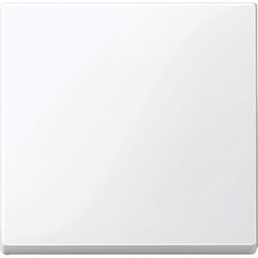 Фото Клавиша Активно белый блеск SYSTEM M