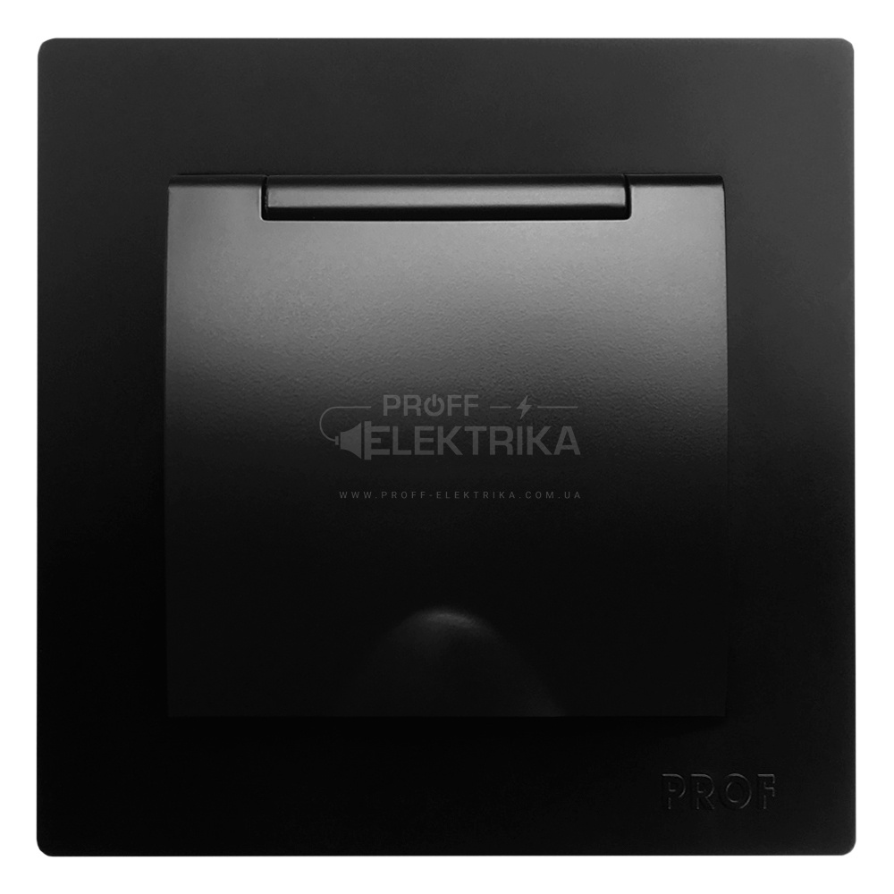 Фото Розетка одноместная с заземлением внутренняя с крышкой черная ARINA